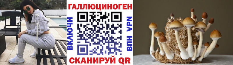 Псилоцибиновые грибы MAGIC MUSHROOMS hydra ССЫЛКА Касли хочу наркоту